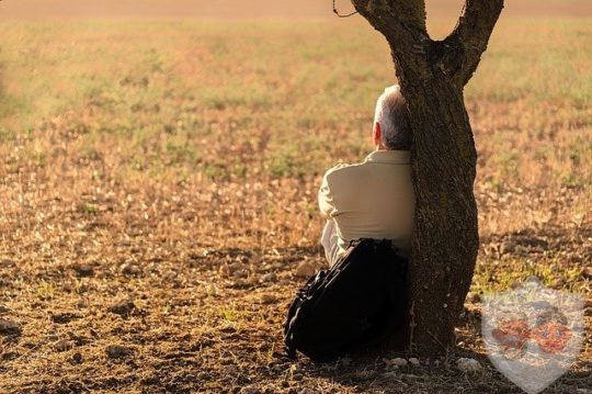 одинокий человек сидит под деревом